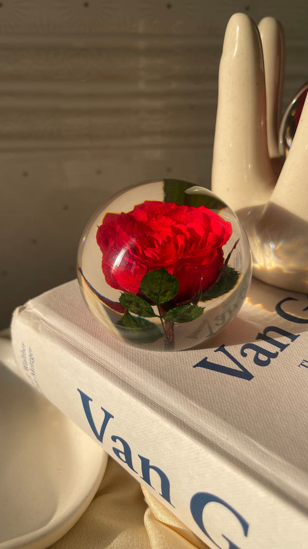 Rosette | Real Preserved Rose Paperweight
