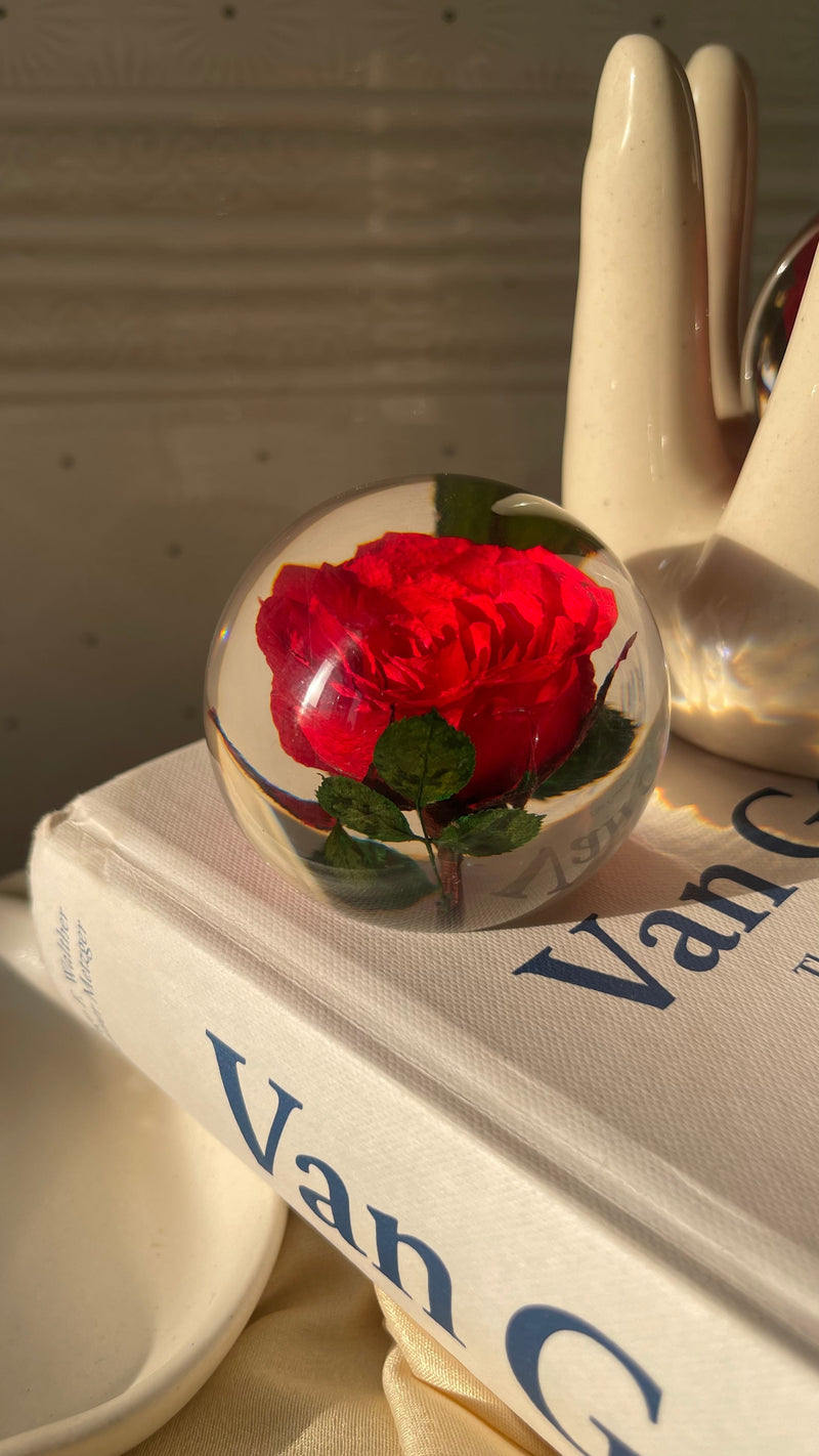 Rosette | Real Preserved Rose Paperweight