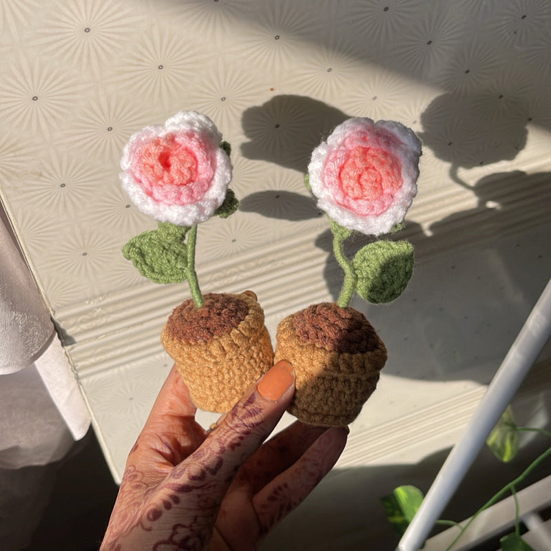 Crochet flower mini pots - Crochet flowers