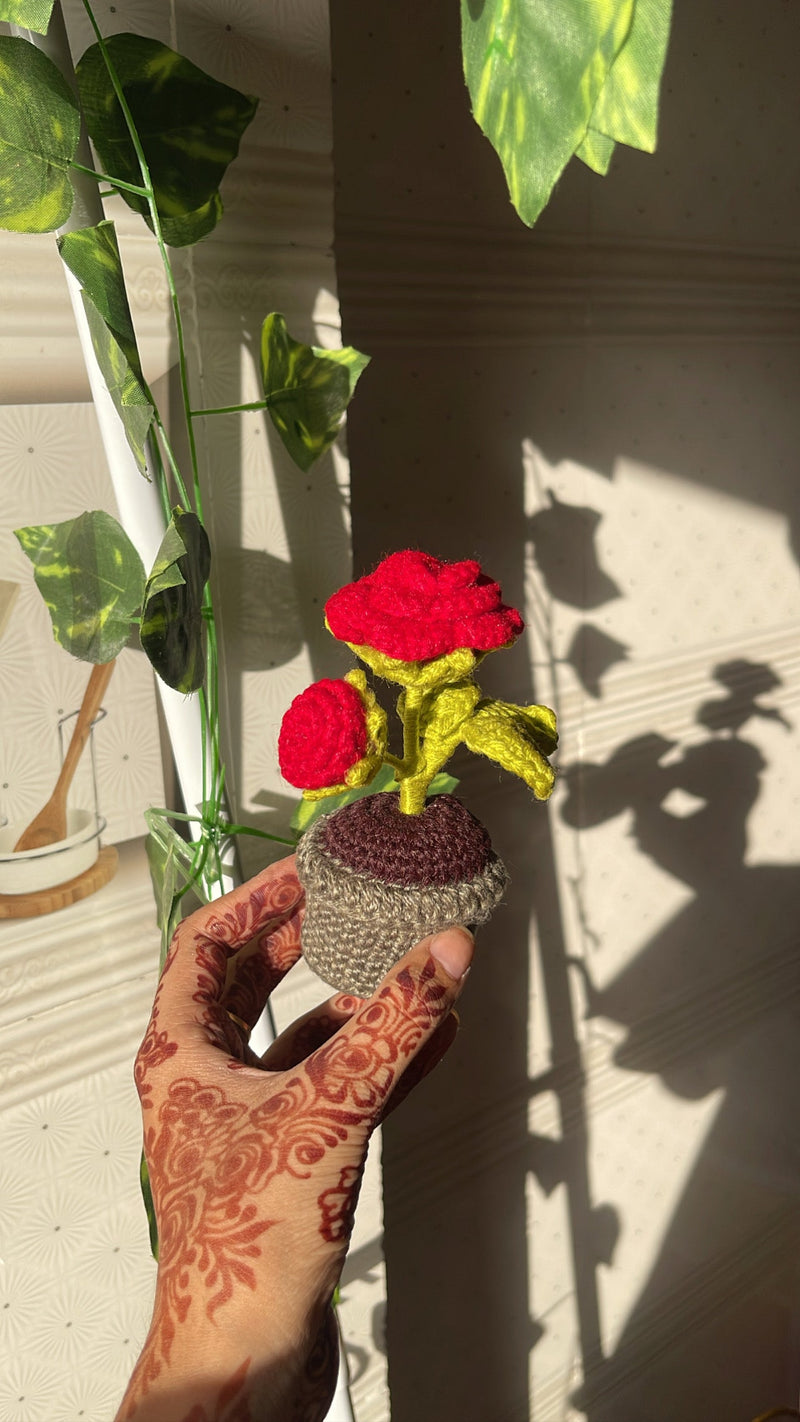 Crochet flower mini pots - Crochet flowers